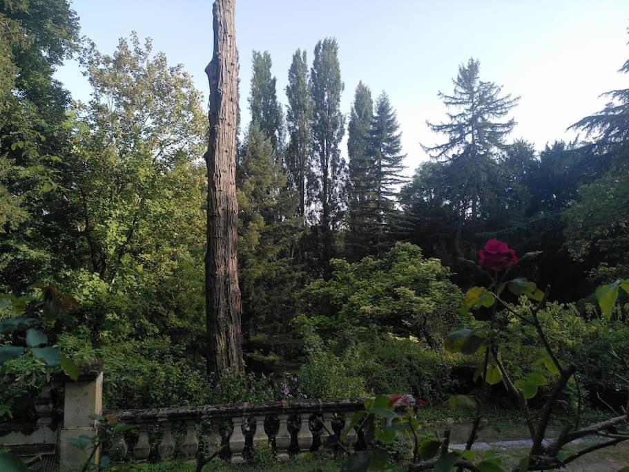 Magnifiques Ecuries Juste Renovees - Domaine De La Mulotiere Villa Langeais Ngoại thất bức ảnh