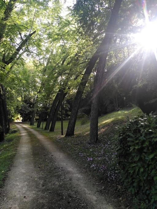 Magnifiques Ecuries Juste Renovees - Domaine De La Mulotiere Villa Langeais Ngoại thất bức ảnh